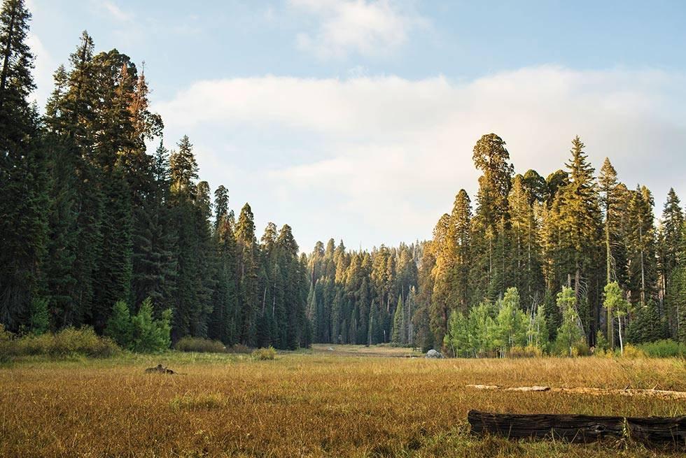 John Muir Lodge Hume Buitenkant foto