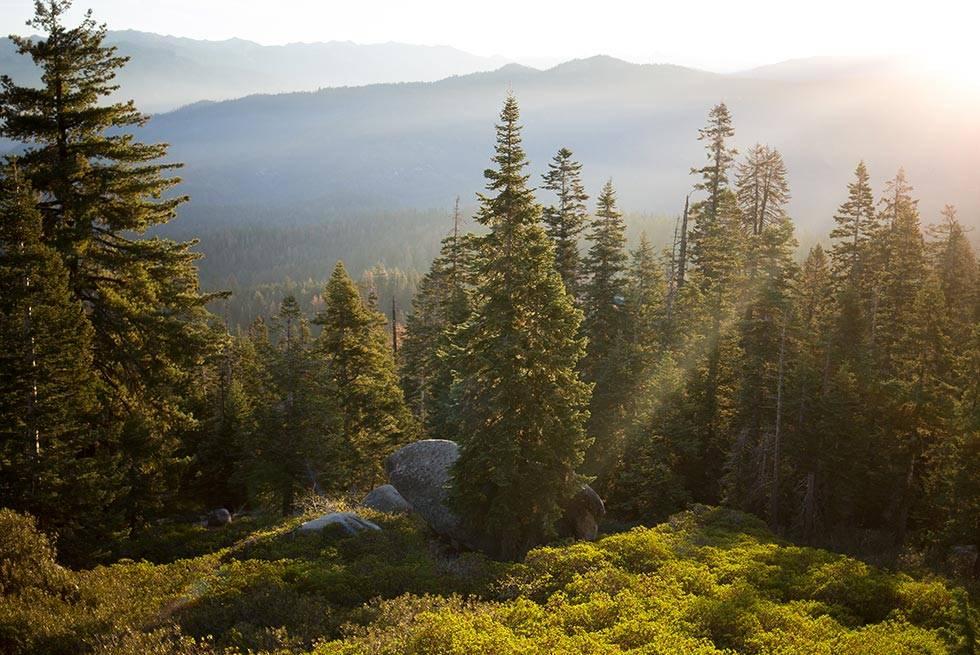 John Muir Lodge Hume Buitenkant foto