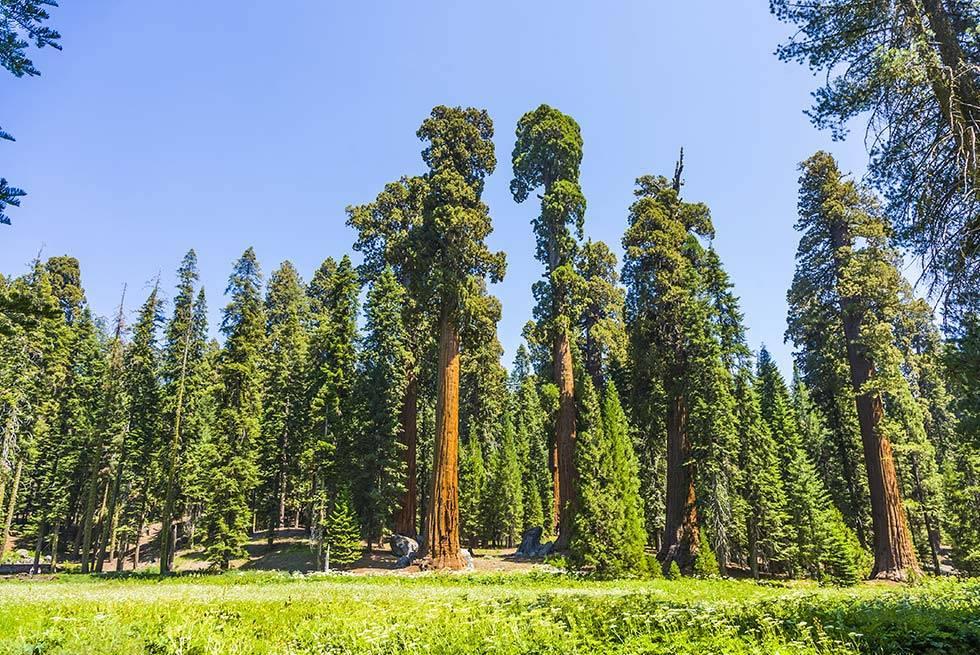 John Muir Lodge Hume Buitenkant foto