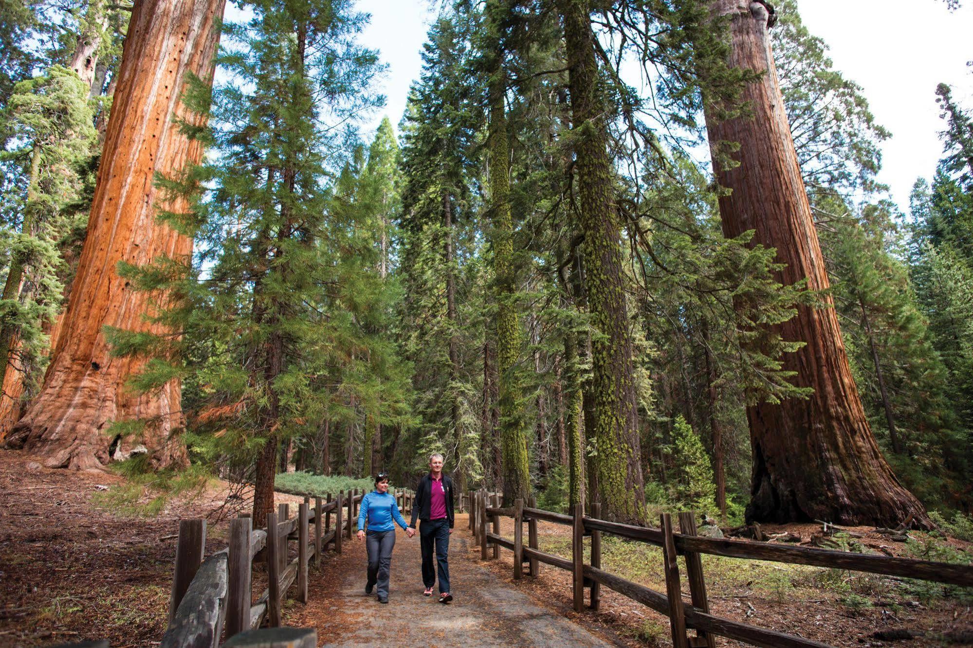 John Muir Lodge Hume Buitenkant foto